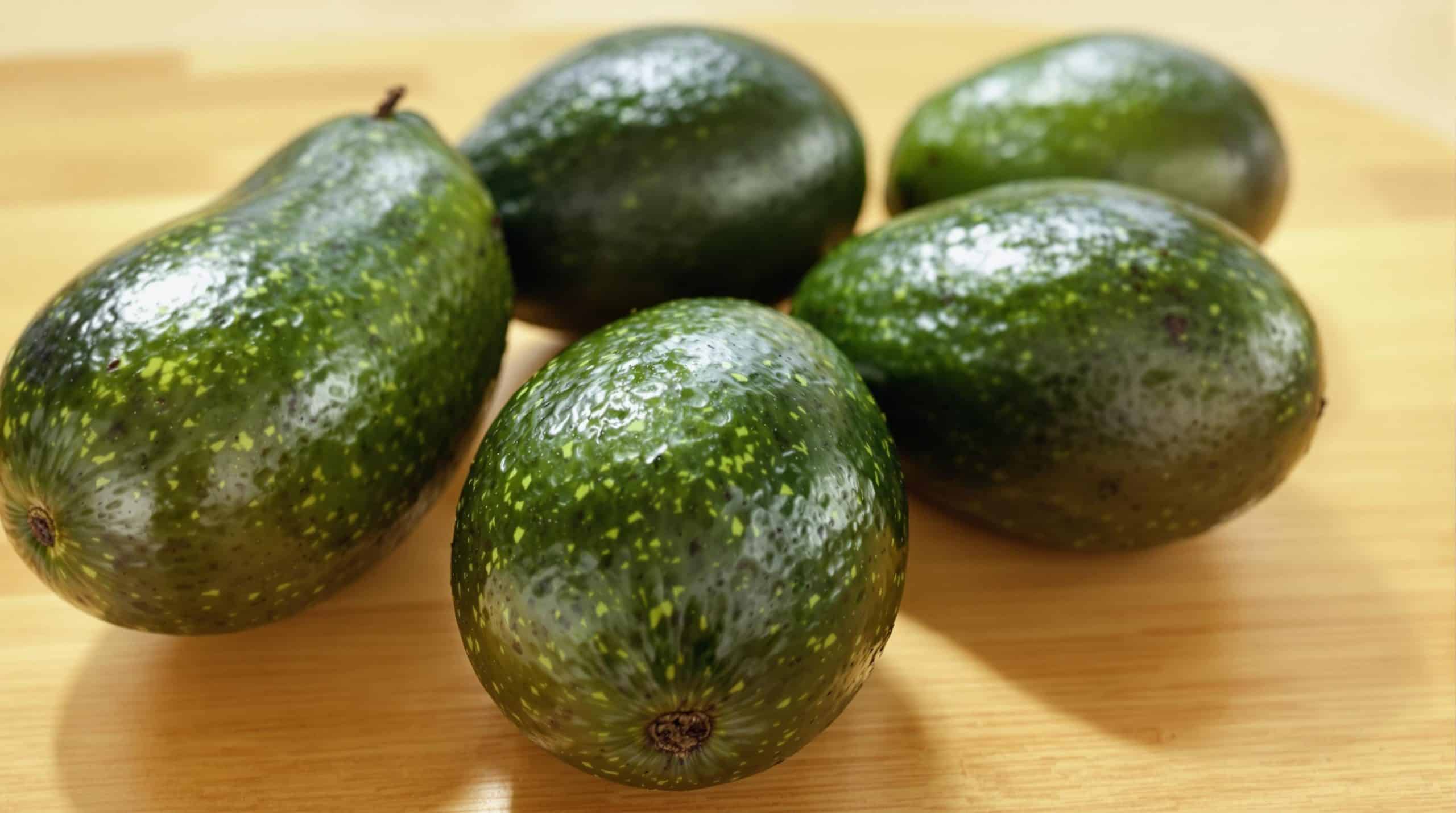 D&eacute;couvrez la m&eacute;thode des 5 jours : le secret des experts pour savourer des avocats parfaitement m&ucirc;rs