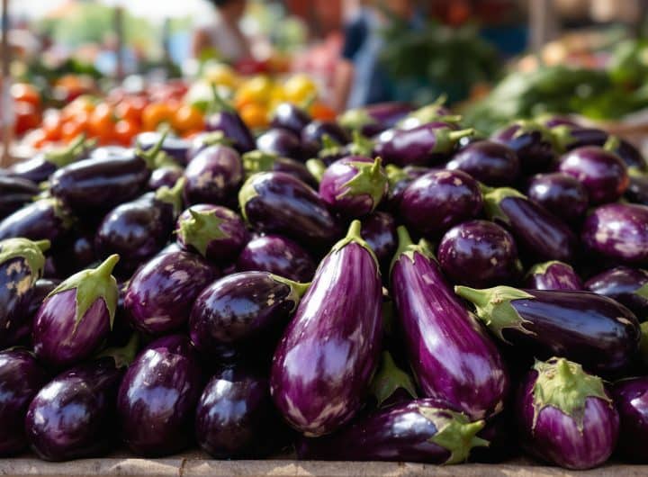 découvrez les secrets d’un maraîcher pour bien choisir vos aubergines : astuces, conseils pratiques et critères essentiels pour des aubergines toujours fraîches, savoureuses et de qualité.