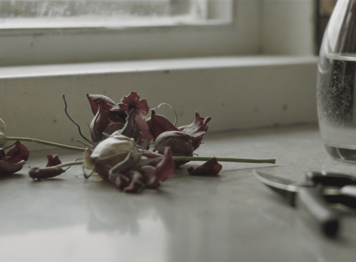 découvrez l’étape primordiale que beaucoup oublient avant de disposer des fleurs dans un vase, pour garantir leur fraîcheur et prolonger leur beauté chez vous.