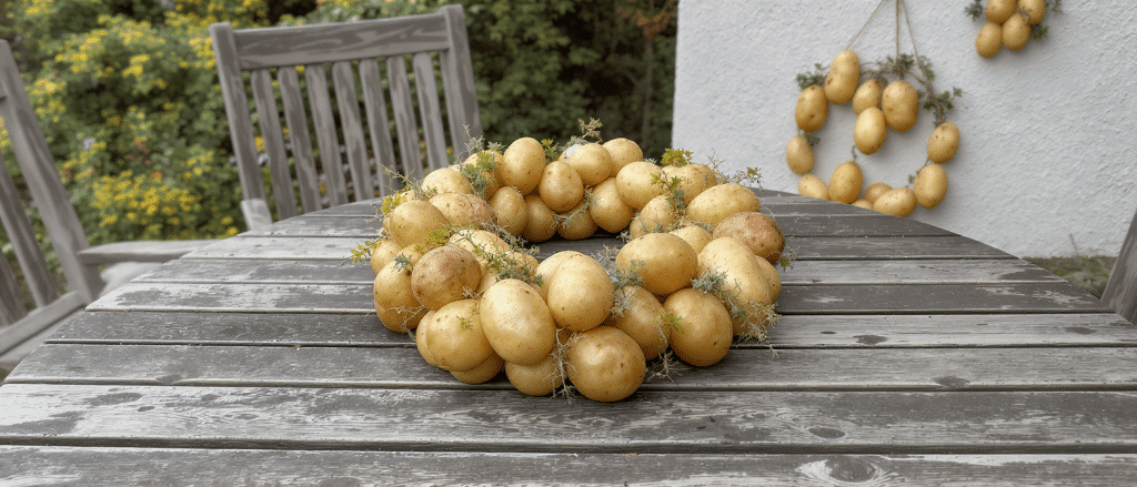 Dites adieu &agrave; la couronne classique : la pomme de terre, l&rsquo;astuce surprenante pour une d&eacute;co ext&eacute;rieure r&eacute;ussie