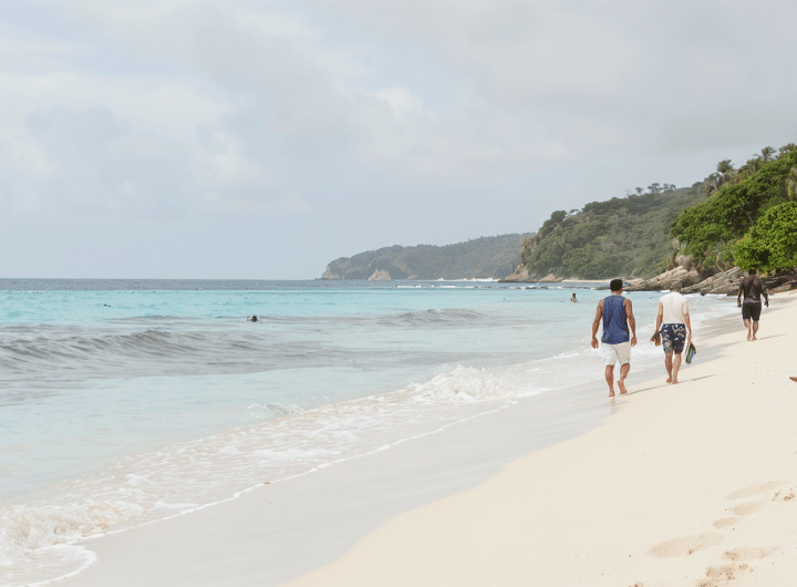 découvrez la tanzanie et ses plages paradisiaques grâce à notre guide complet pour préparer votre voyage. conseils, meilleures plages et activités incontournables vous attendent.