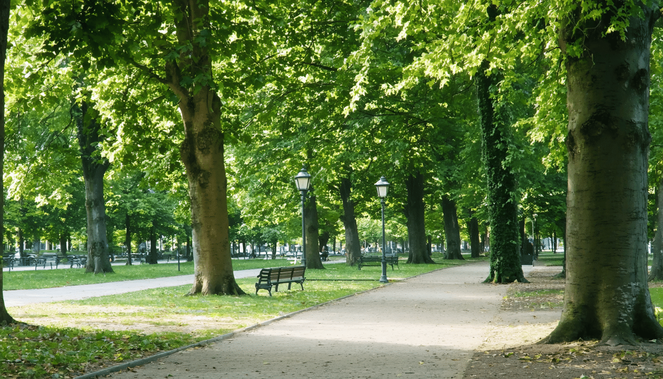 Les bienfaits des arbres pour l&rsquo;environnement et la sant&eacute;