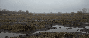 Malgr&eacute; des pr&eacute;cipitations abondantes, deux r&eacute;gions fran&ccedil;aises restent en tension hydrique : le spectre de la s&eacute;cheresse plane toujours