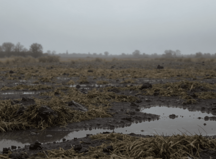 malgré des précipitations abondantes, deux régions françaises restent confrontées à une tension hydrique importante, le risque de sécheresse persistant dans ces zones.