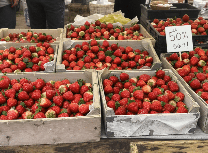 découvrez comment un facteur surprenant permet aux maraîchers de proposer les fraises françaises à moitié prix, une excellente nouvelle pour les amateurs de fruits frais et locaux.