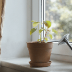 Cette m&eacute;thode d&rsquo;arrosage ralentit la croissance de vos plantes : d&eacute;couvrez comment l&rsquo;am&eacute;liorer