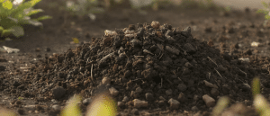 Un engrais naturel exceptionnel pour votre jardin : d&eacute;couvrez ce tr&eacute;sor gratuit sur Leboncoin