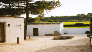 Hotel comporta alma da comporta : les rep&egrave;res utiles pour comprendre ce sujet lifestyle
