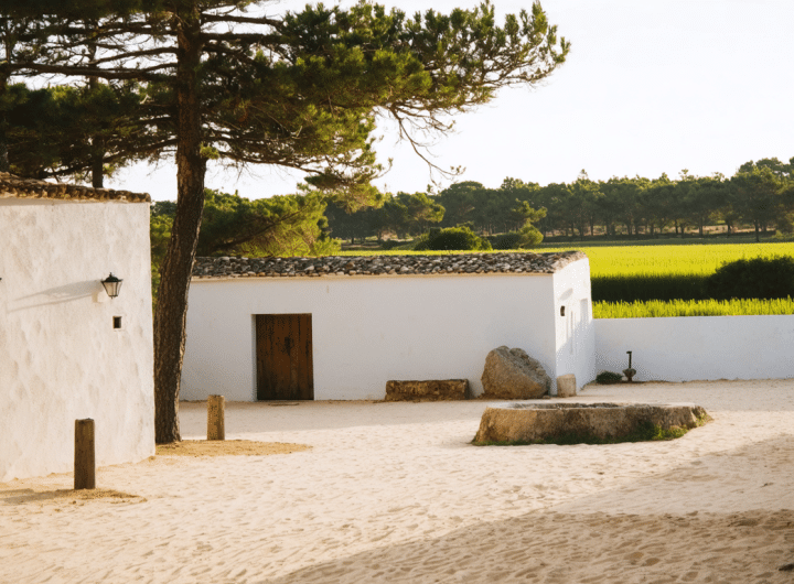 découvrez l'hotel comporta alma da comporta et explorez les repères essentiels pour bien comprendre ce sujet lifestyle unique.