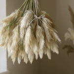 Herbe de la pampa en d&eacute;co : comment la faire s&eacute;cher pour pr&eacute;server sa beaut&eacute; durablement