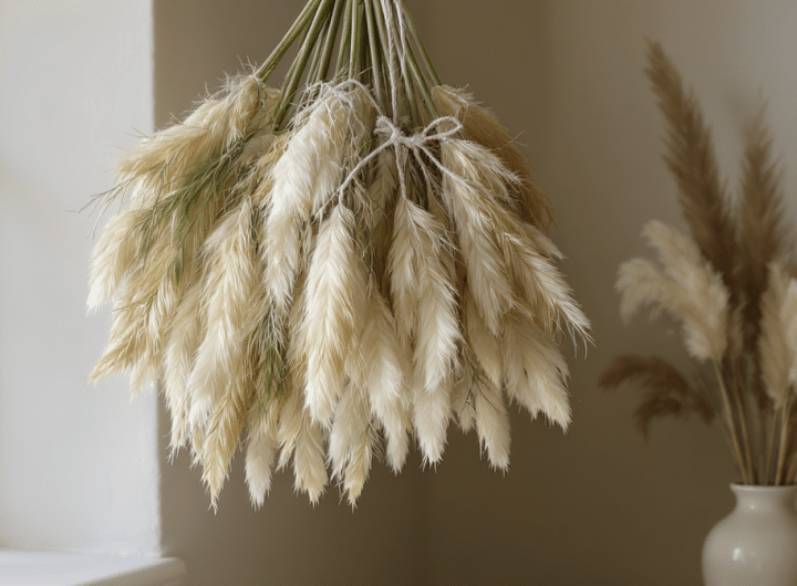 découvrez comment faire sécher l’herbe de la pampa et la conserver durablement pour profiter de sa beauté naturelle dans votre décoration.